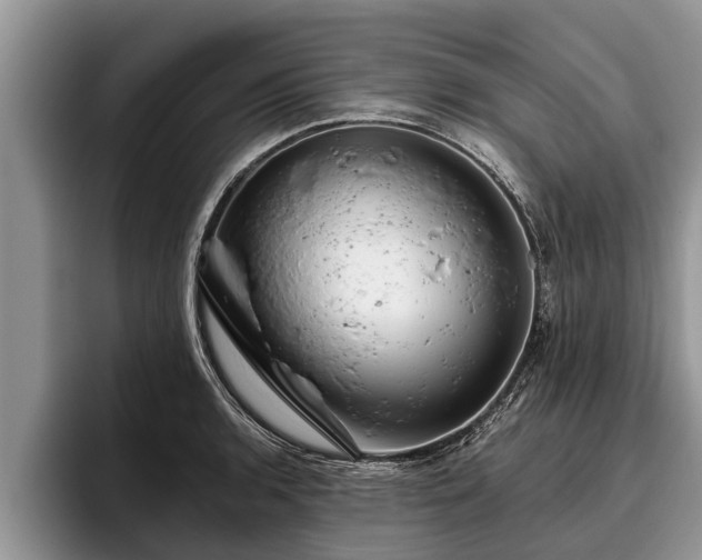 X0000095881136200801181200