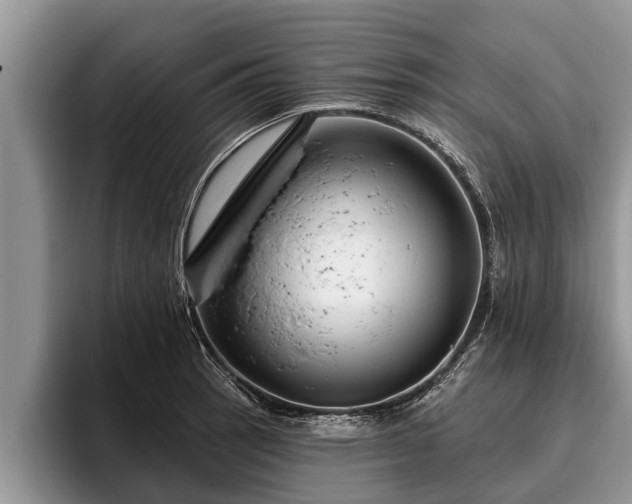X0000095881137200801181200