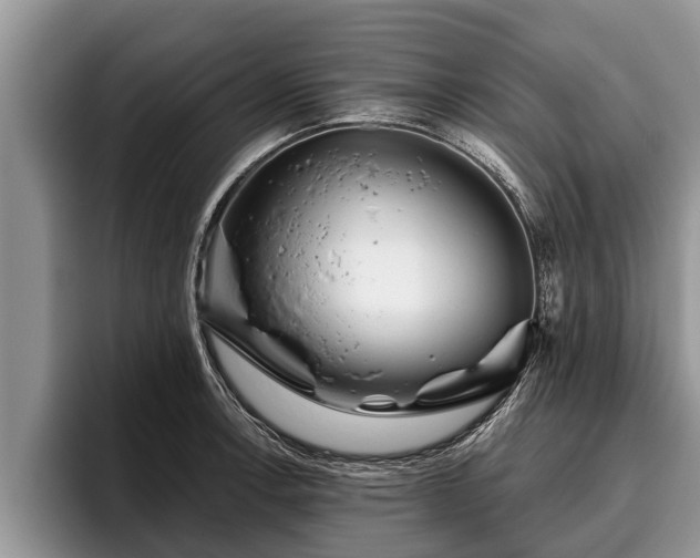 X0000095881138200801181200