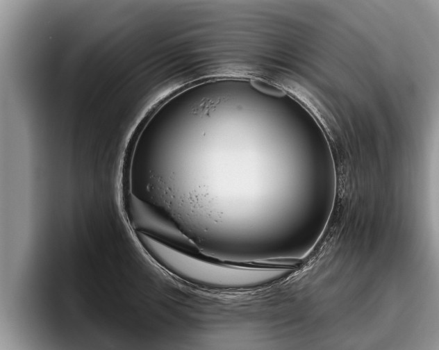 X0000095881139200801181200