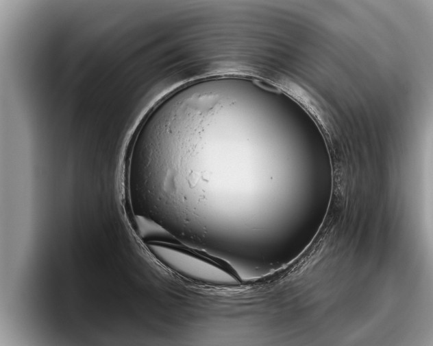 X0000095881140200801181200