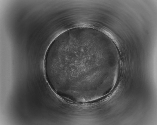 X0000095881141200801181200