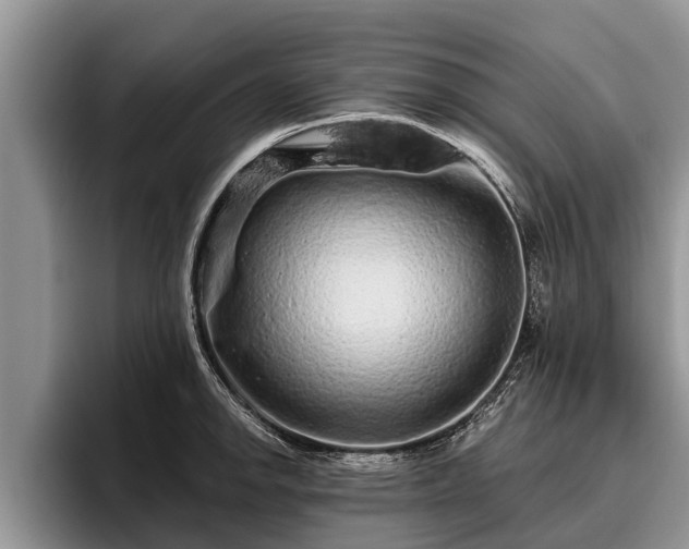 X0000095881142200801181200