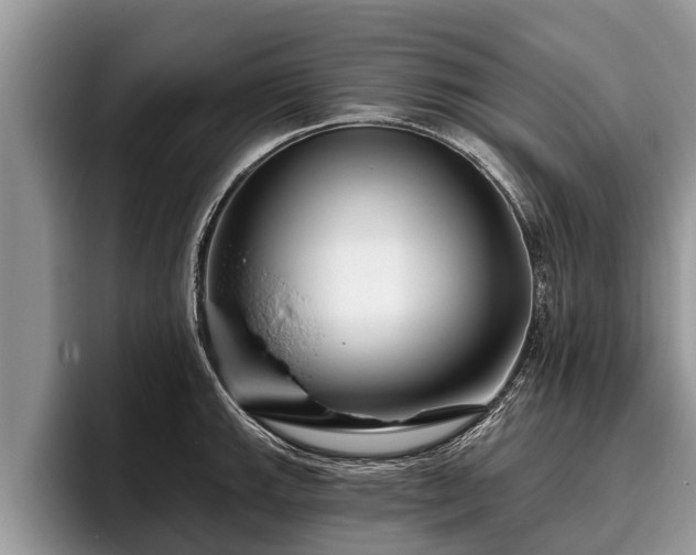 X0000095881143200801181200