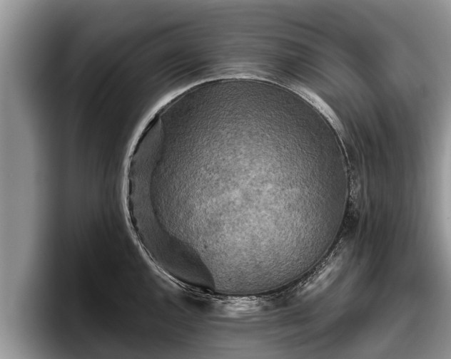 X0000095881144200801181200