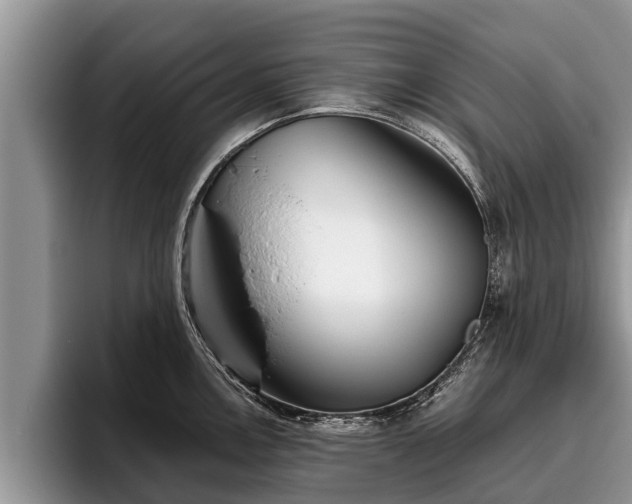 X0000095881146200801181200