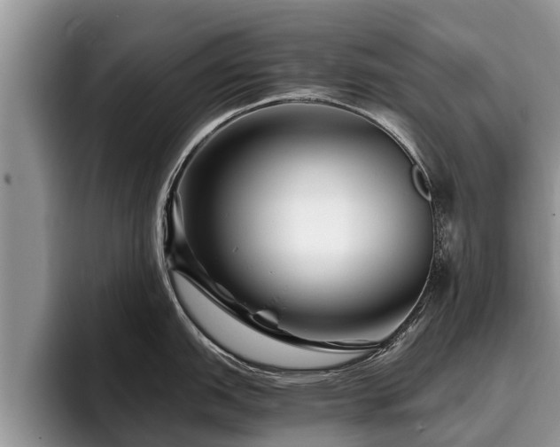 X0000095881151200801181200