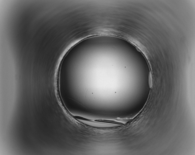 X0000095881152200801181200
