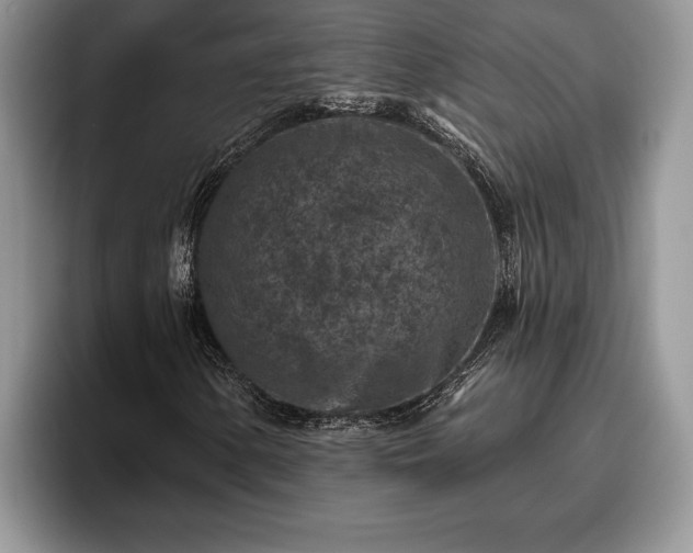 X0000095881154200801181159