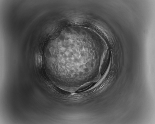 X0000095881155200801181159