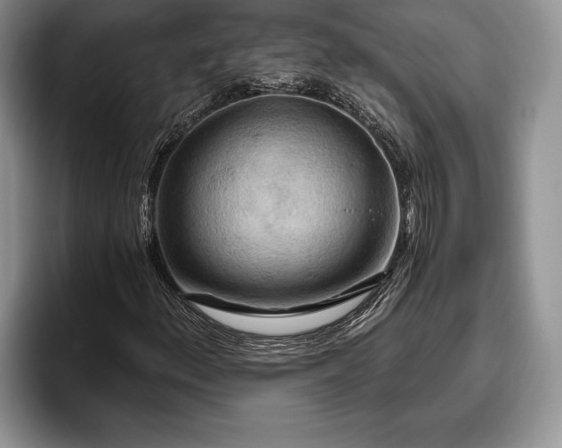X0000095881156200801181159