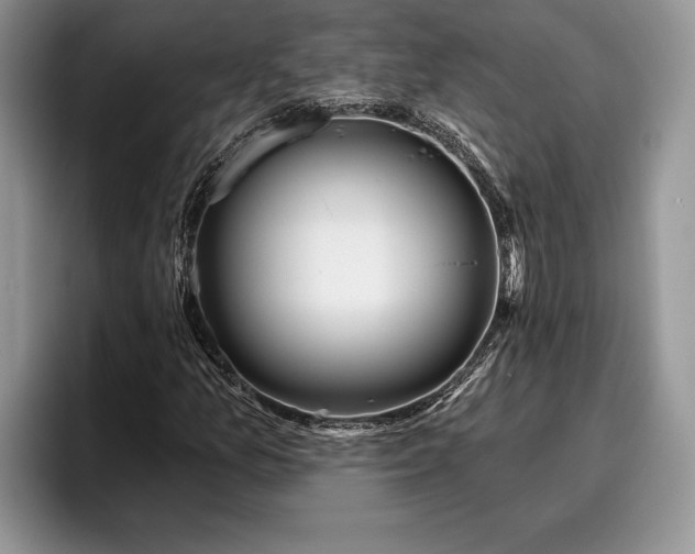 X0000095881157200801181159