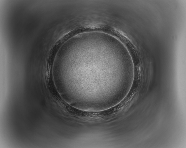 X0000095881158200801181159