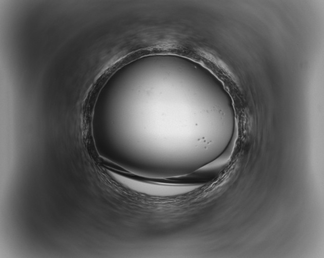 X0000095881160200801181159