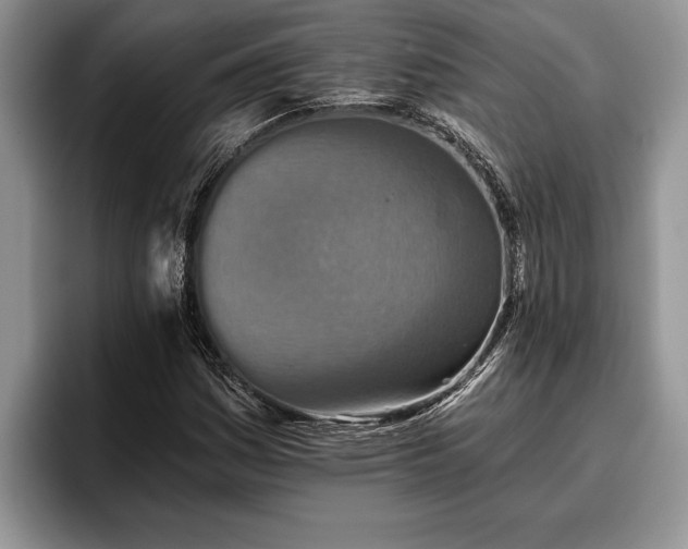 X0000095881161200801181159