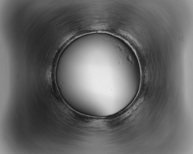 X0000095881162200801181159