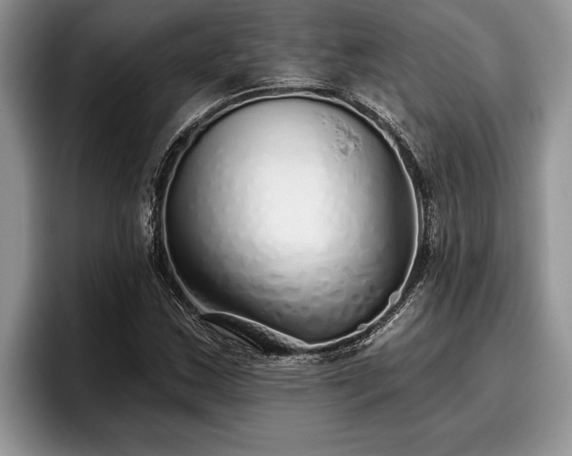 X0000095881163200801181159