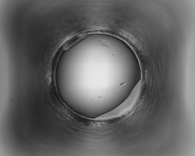 X0000095881165200801181159
