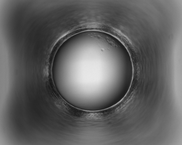 X0000095881166200801181159