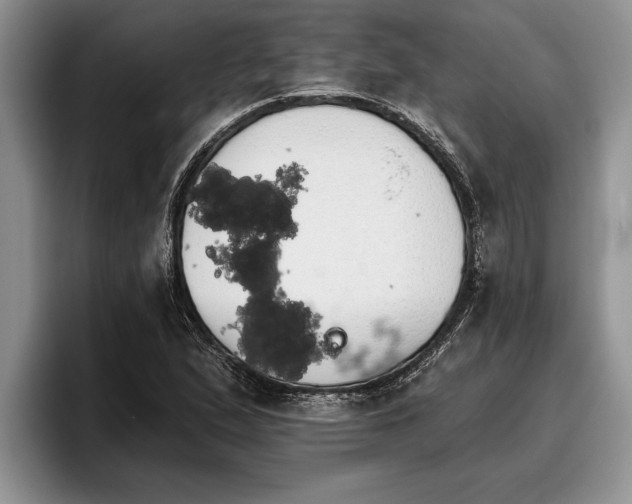 X0000095881167200801181159