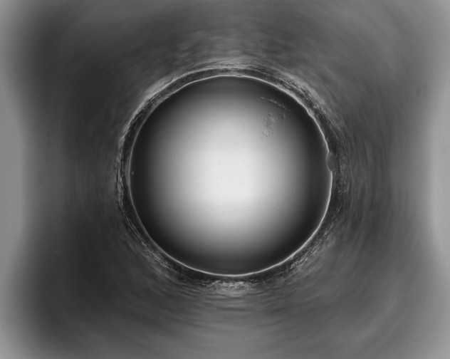 X0000095881168200801181159