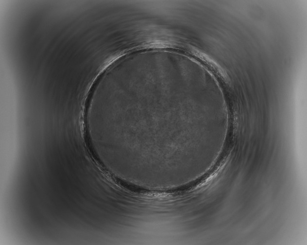 X0000095881170200801181159