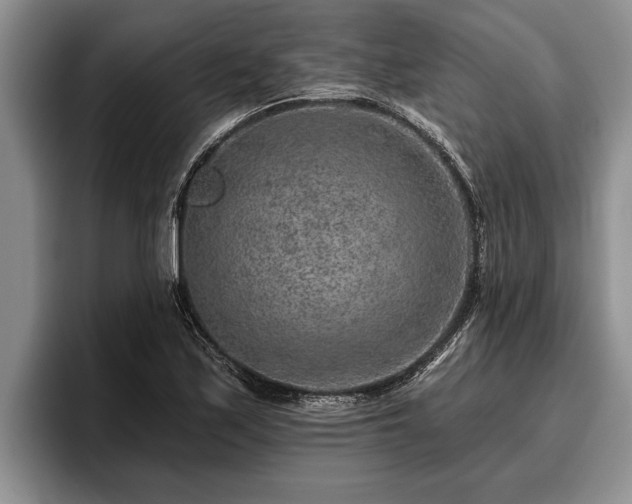 X0000095881171200801181159
