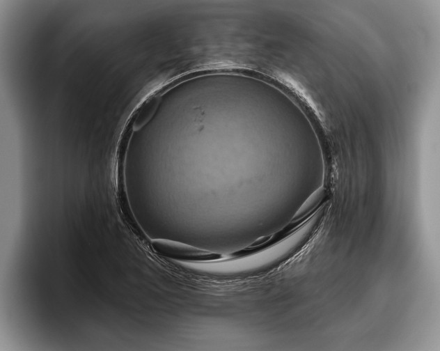 X0000095881173200801181159