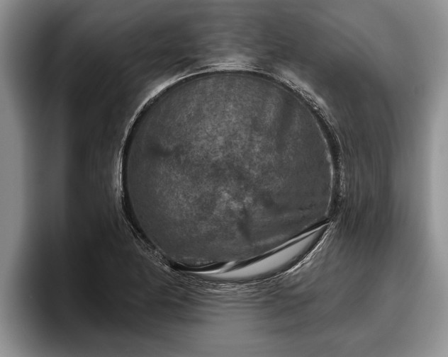X0000095881174200801181159