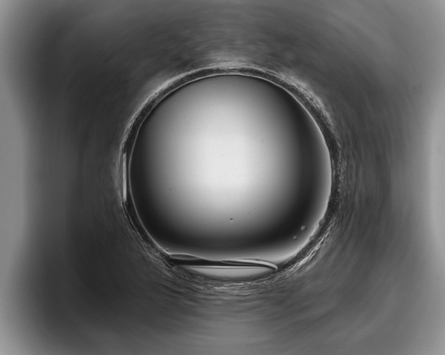X0000095881175200801181159