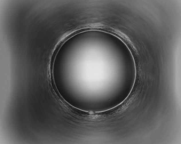 X0000095881176200801181159