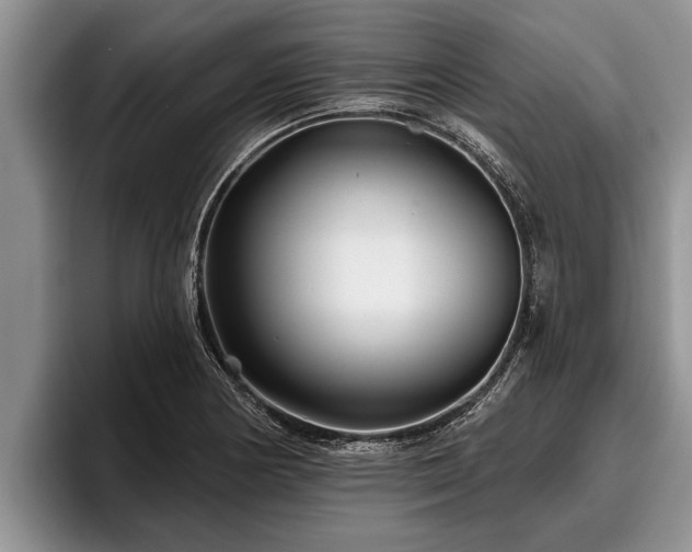 X0000095881178200801181159