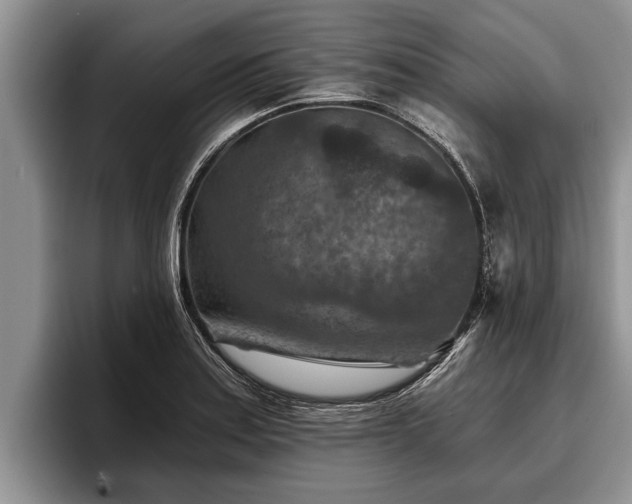 X0000095881179200801181159