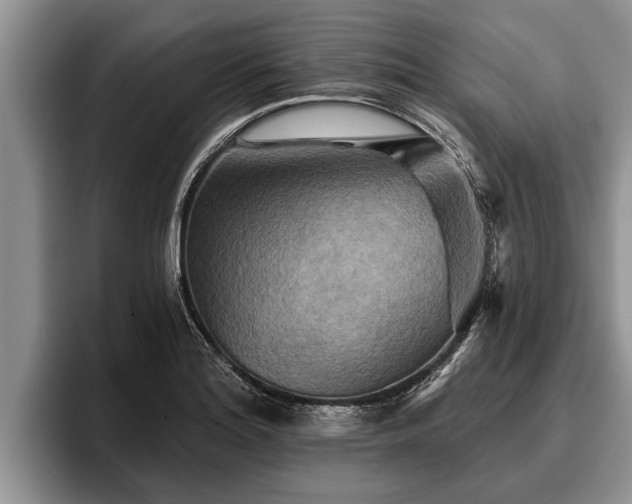 X0000095881180200801181159