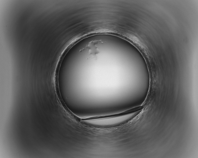X0000095881181200801181159