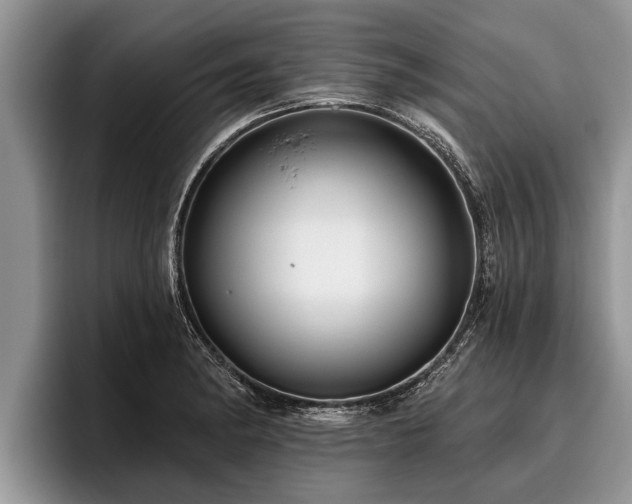 X0000095881182200801181159