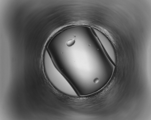 X0000095881184200801181159