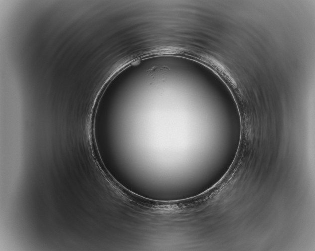 X0000095881186200801181159