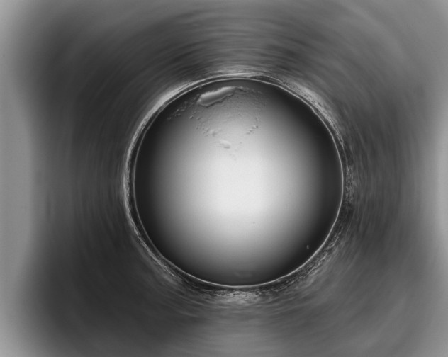 X0000095881187200801181159