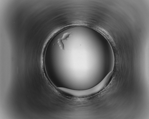 X0000095881188200801181159