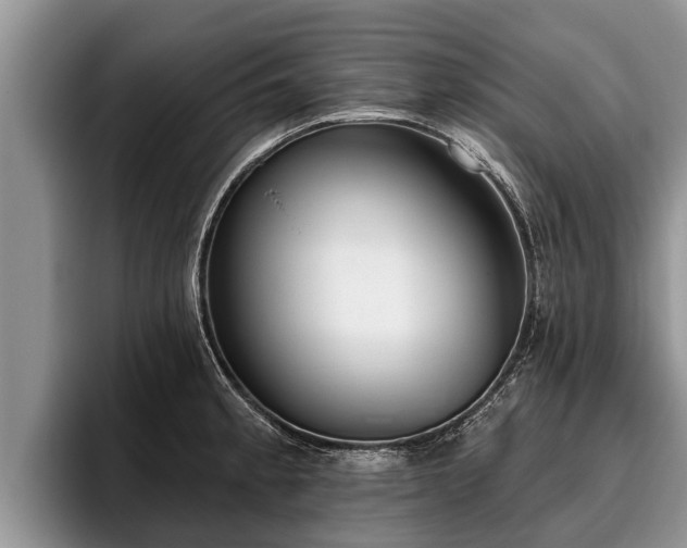X0000095881189200801181159
