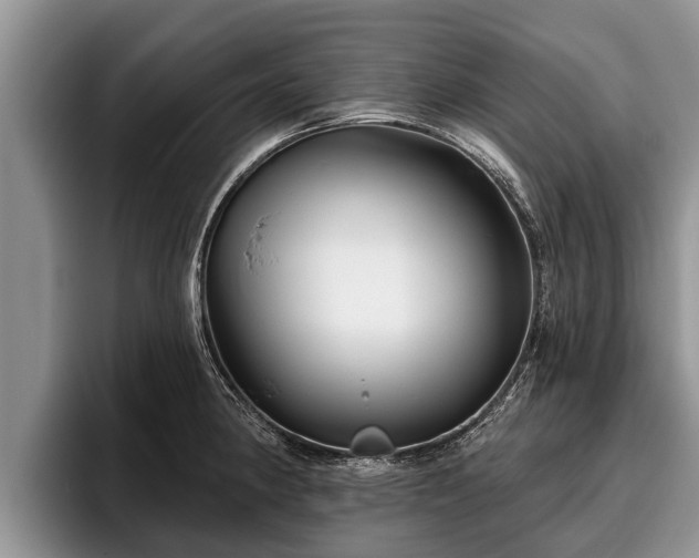 X0000095881190200801181159