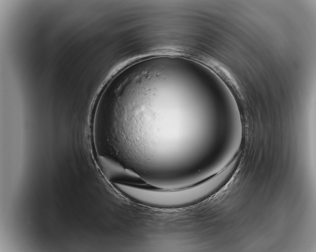 X0000095881192200801181159