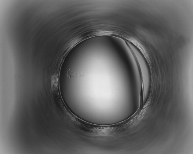 X0000095881193200801181159
