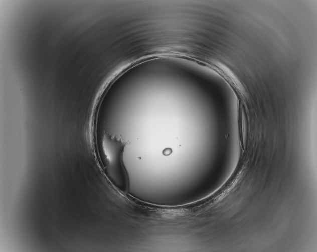 X0000095881196200801181159