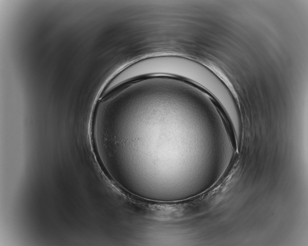 X0000095881197200801181159