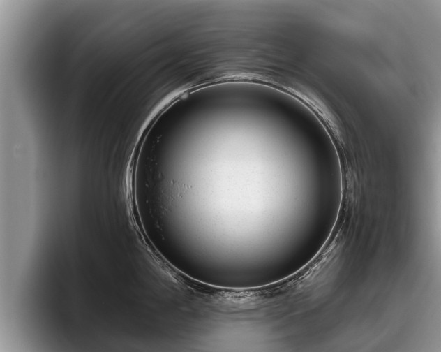 X0000095881198200801181159