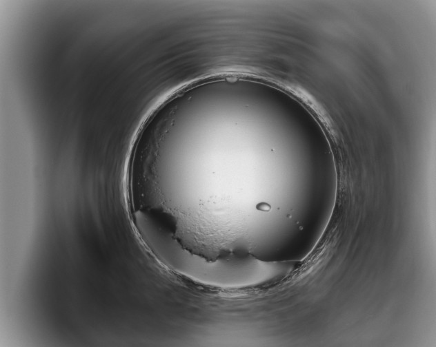 X0000095881199200801181159