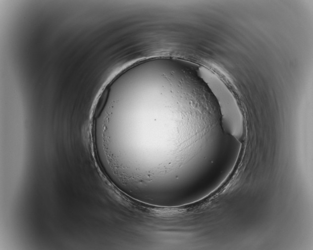 X0000095881200200801181159