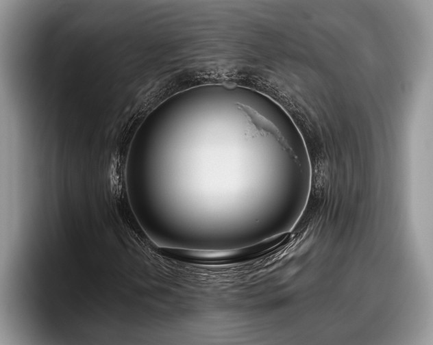 X0000095881202200801181158